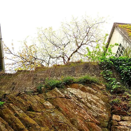 Hostel San Lazaro Sarria