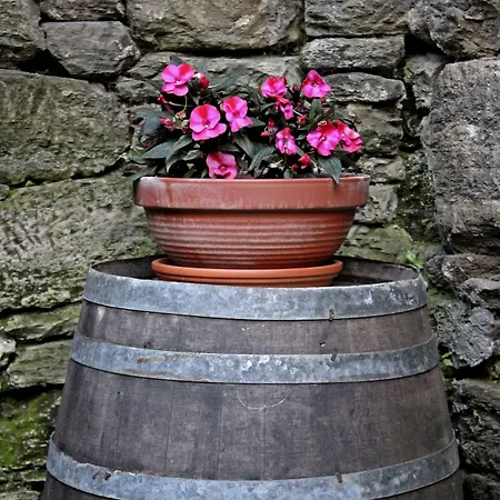 San Lazaro 호스텔